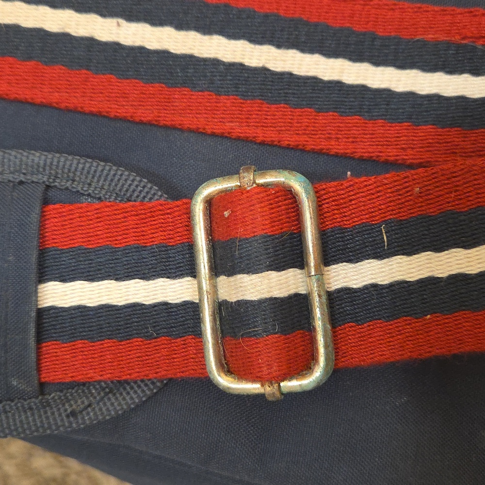 Ariat Tall Boot Bag Bit And Bridle Pattern - Picture 5 of 6